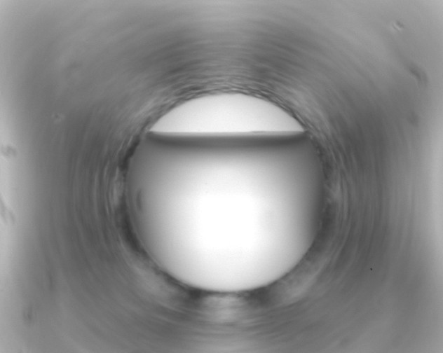 X0000091350133200708101044