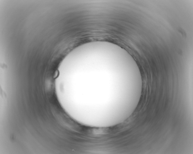 X0000091350134200708101044