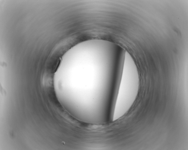 X0000091350137200708101043