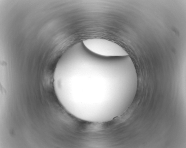 X0000091350138200708101043