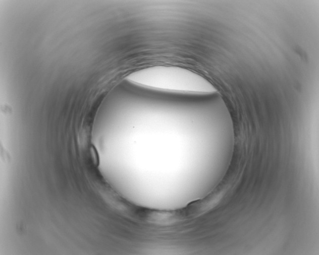 X0000091350139200708101043