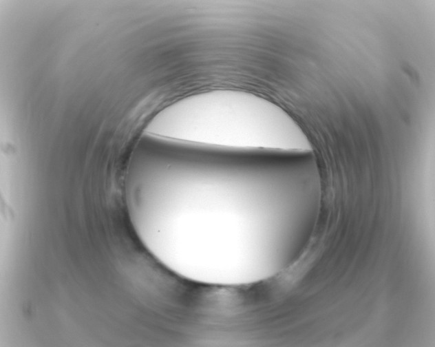 X0000091350140200708101043
