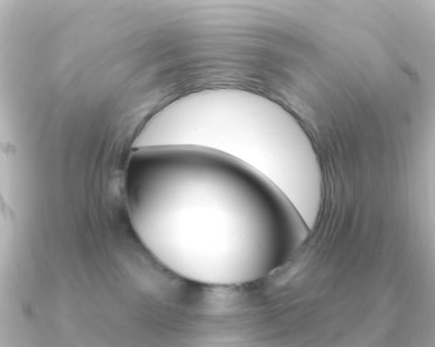 X0000091350141200708101043