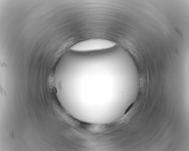 X0000091350142200708101043