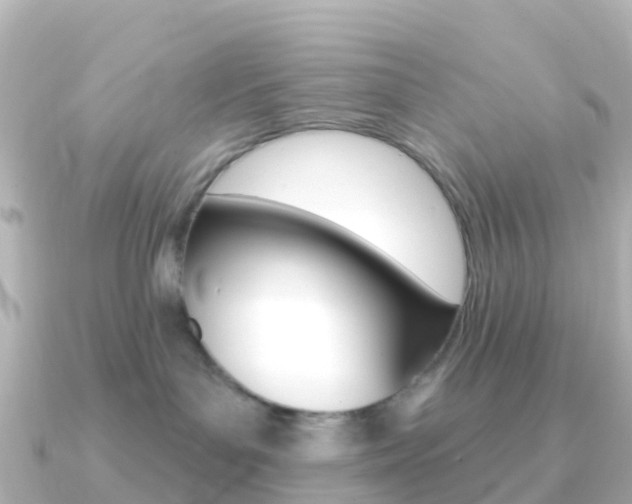 X0000091350143200708101043