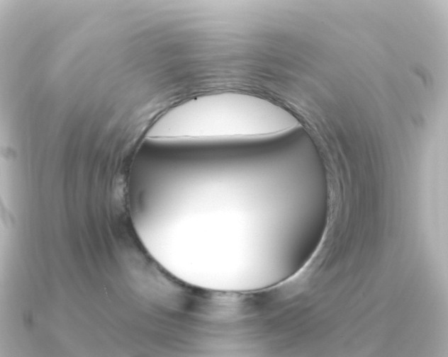 X0000091350144200708101043