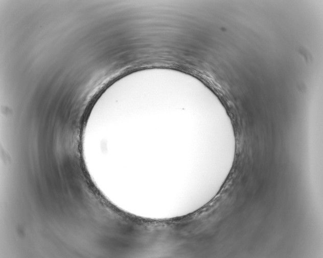 X0000091350146200708101043