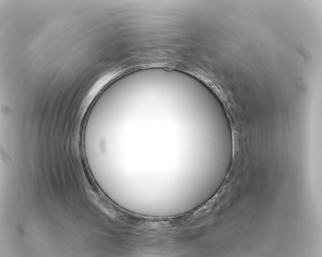 X0000091350147200708101043