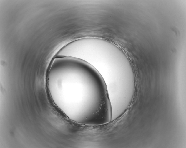 X0000091350148200708101043