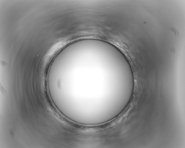 X0000091350149200708101043