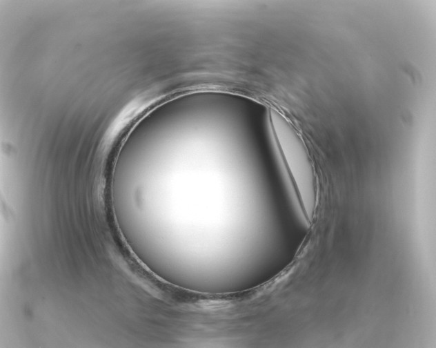 X0000091350150200708101043