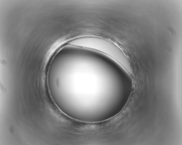 X0000091350152200708101043