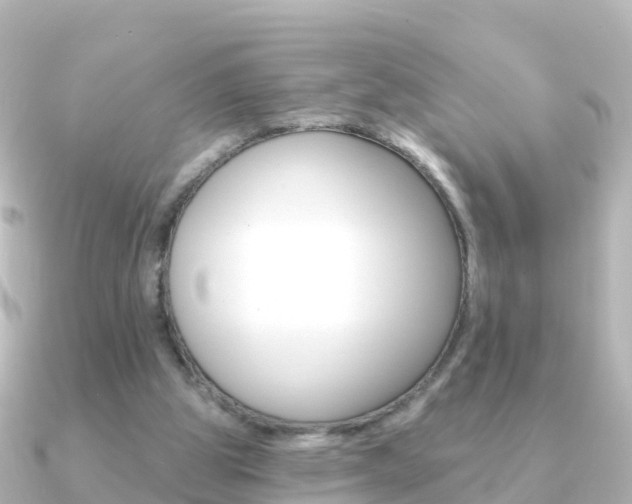 X0000091350153200708101043