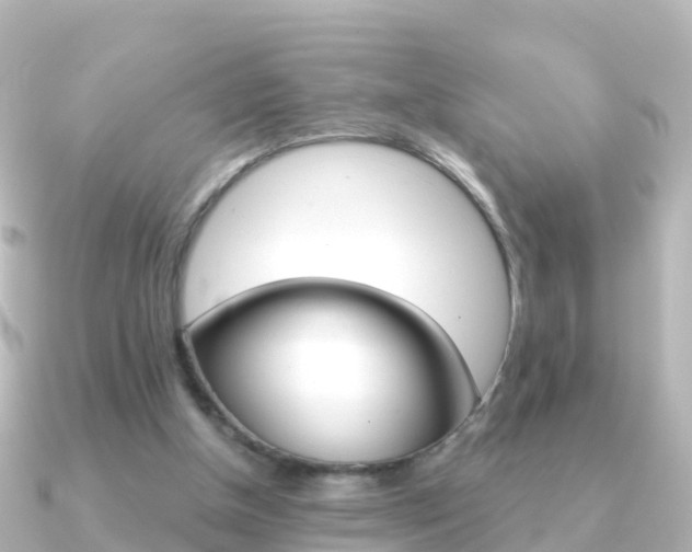 X0000091350154200708101043