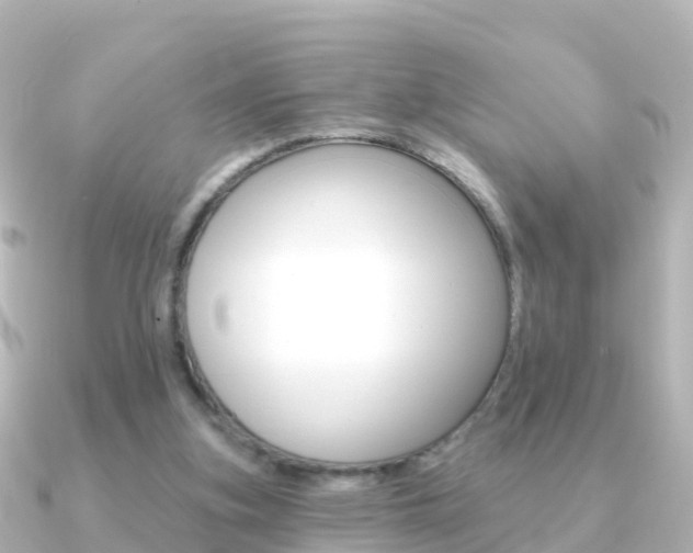 X0000091350155200708101043