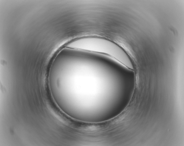 X0000091350156200708101043