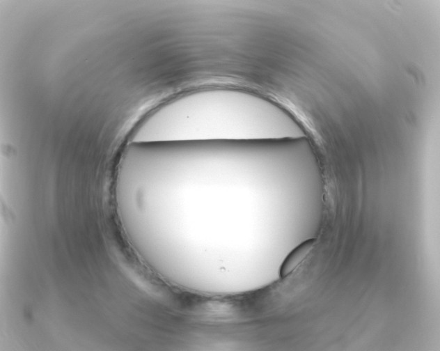 X0000091350159200708101043