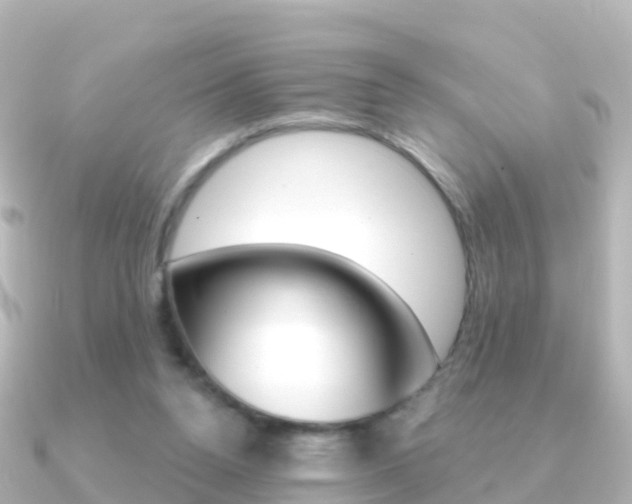 X0000091350160200708101043