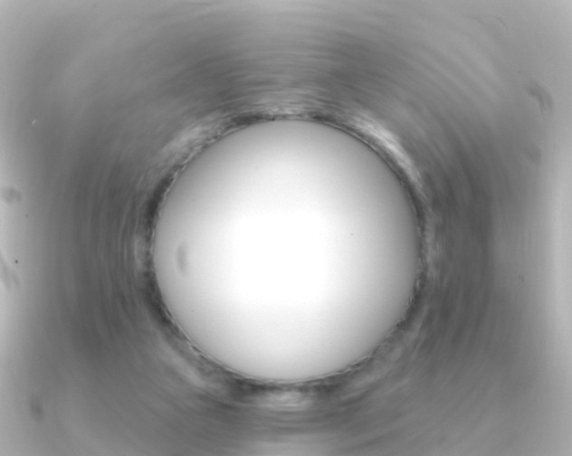 X0000091350161200708101043