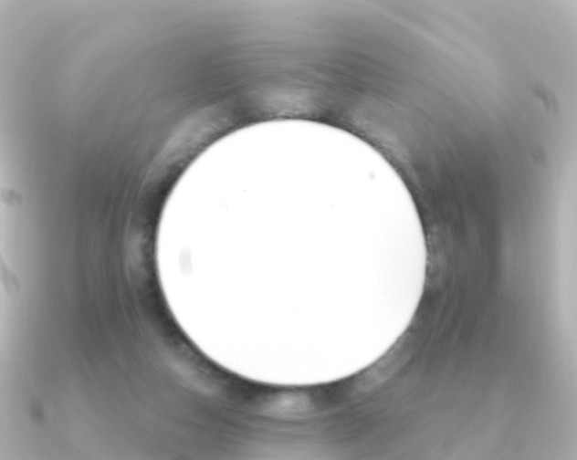 X0000091350162200708101043