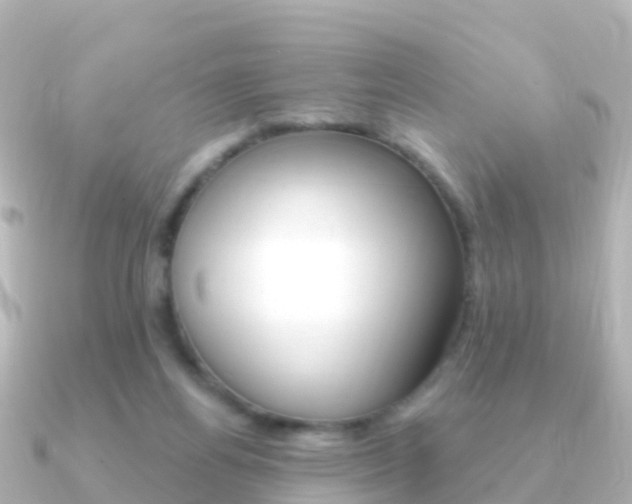 X0000091350164200708101043
