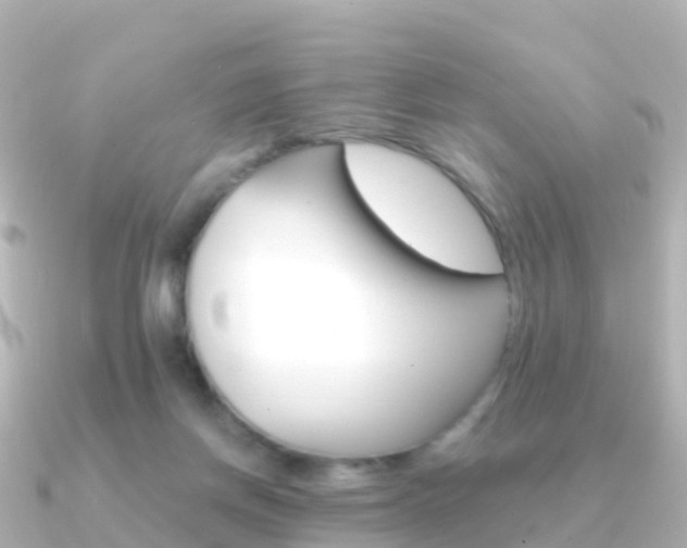 X0000091350166200708101043