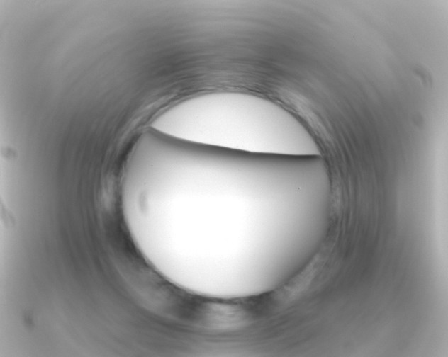 X0000091350167200708101043