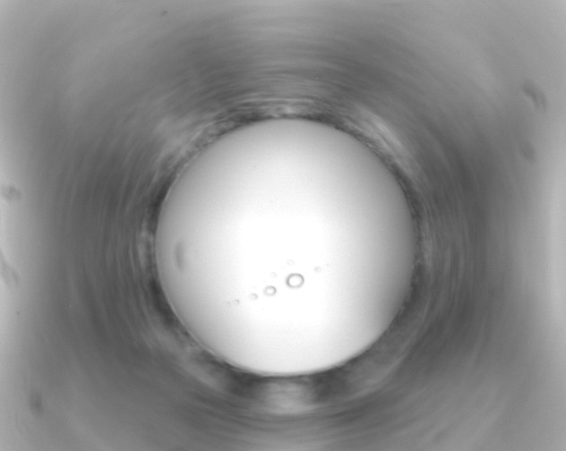 X0000091350169200708101043