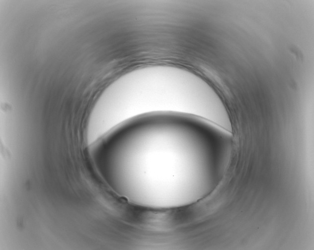 X0000091350170200708101043