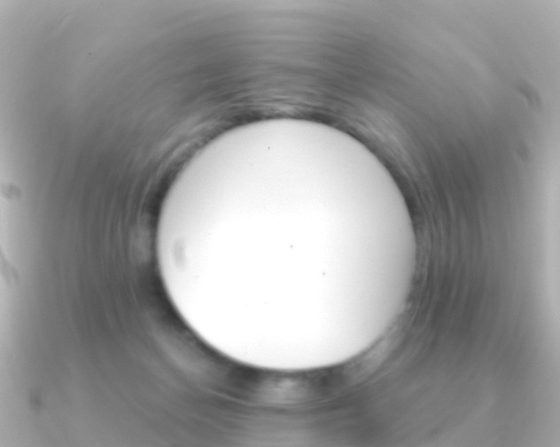 X0000091350174200708101043