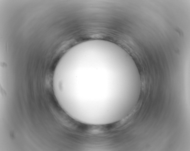 X0000091350175200708101043
