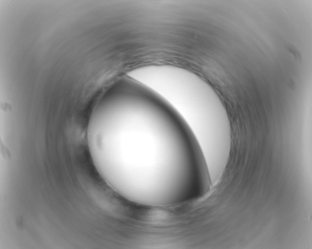 X0000091350176200708101043