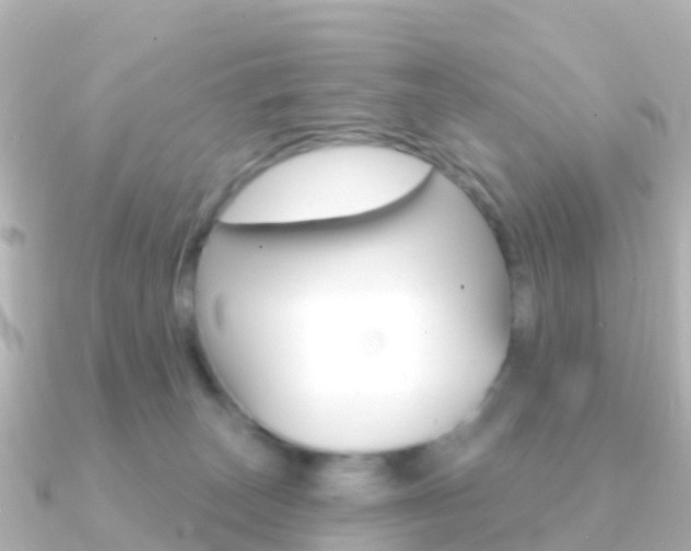 X0000091350179200708101043
