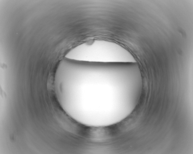 X0000091350181200708101043