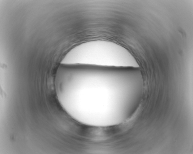 X0000091350182200708101043