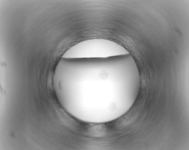 X0000091350185200708101043