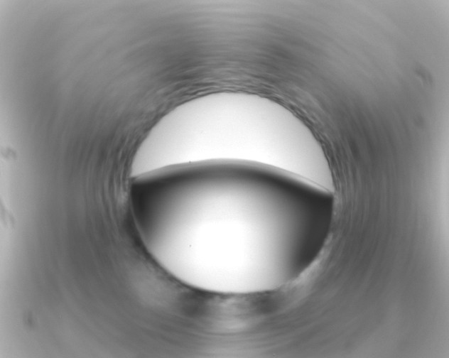 X0000091350186200708101043