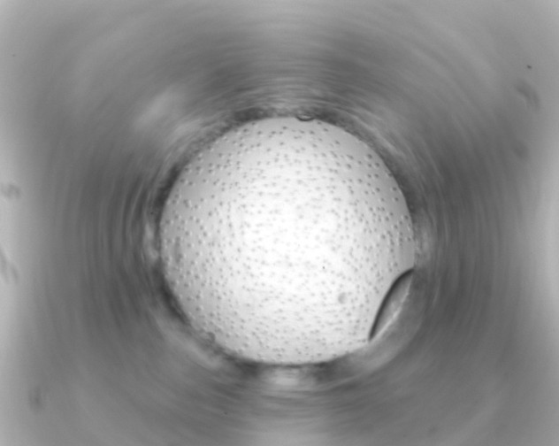 X0000091350187200708101043