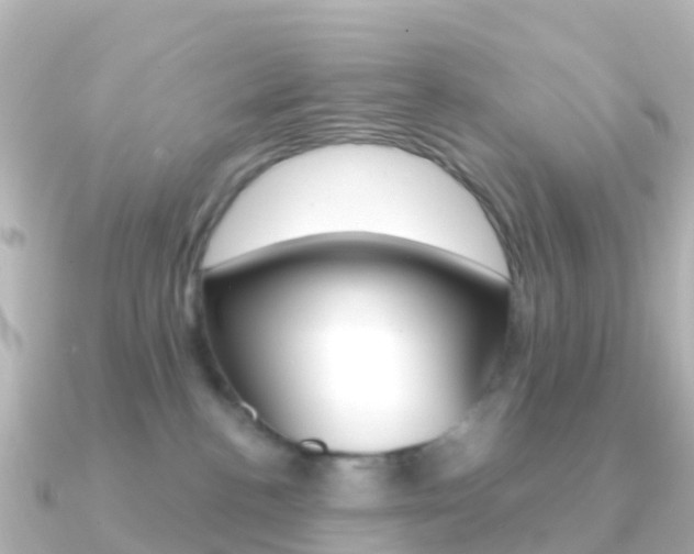 X0000091350188200708101043