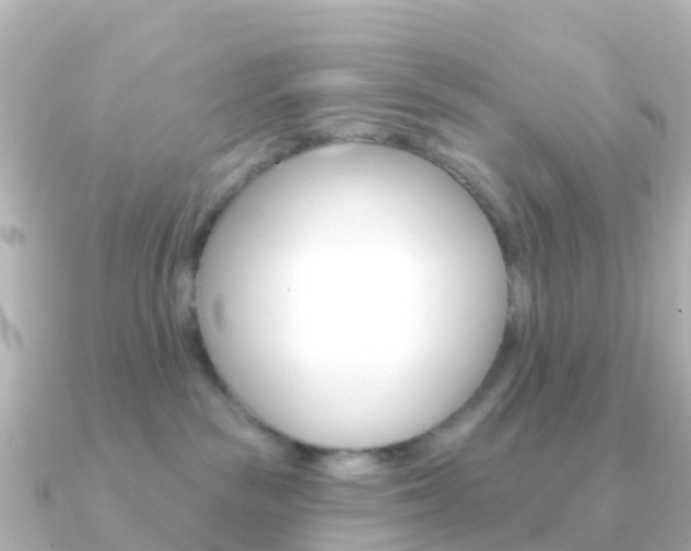 X0000091350189200708101043