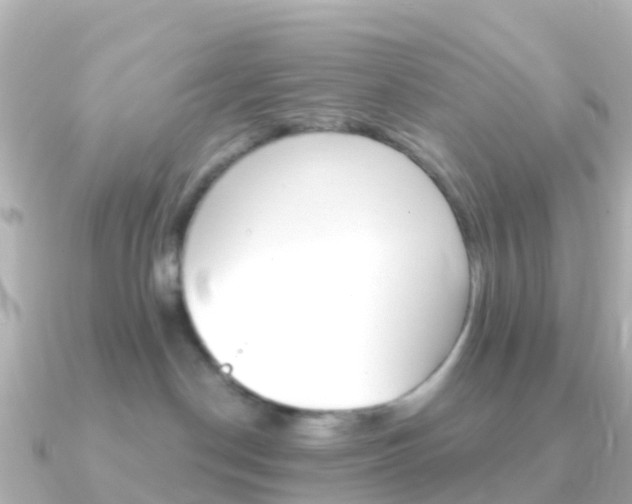 X0000091350190200708101043