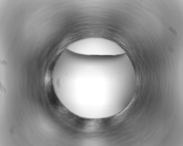 X0000091350191200708101043
