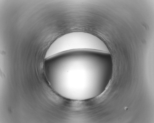 X0000091350192200708101043