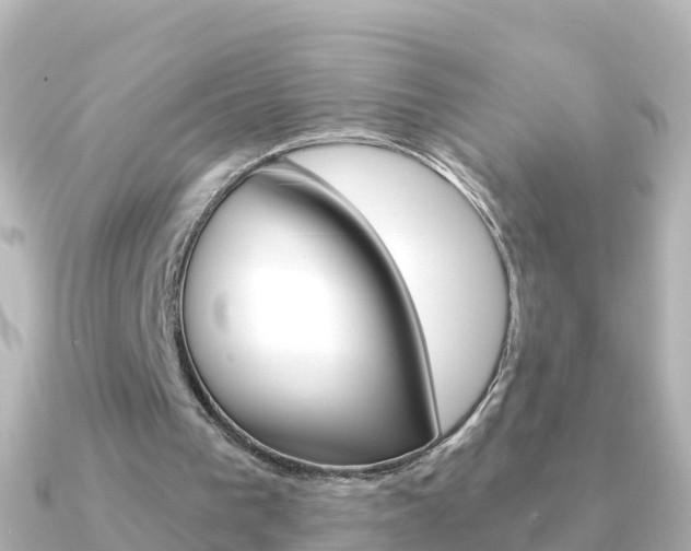 X0000091350193200708101043