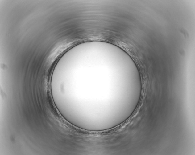 X0000091350194200708101043