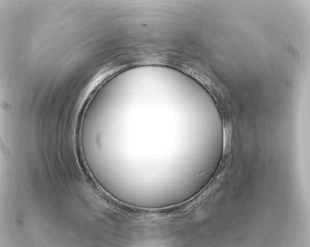 X0000091350195200708101043