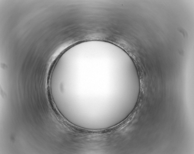 X0000091350196200708101043