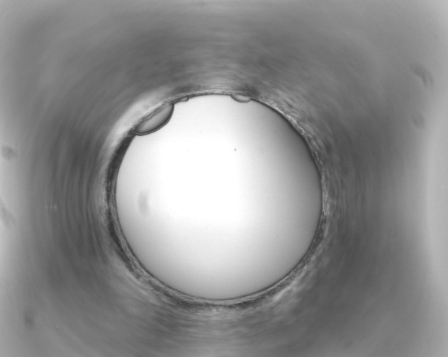 X0000091350198200708101043