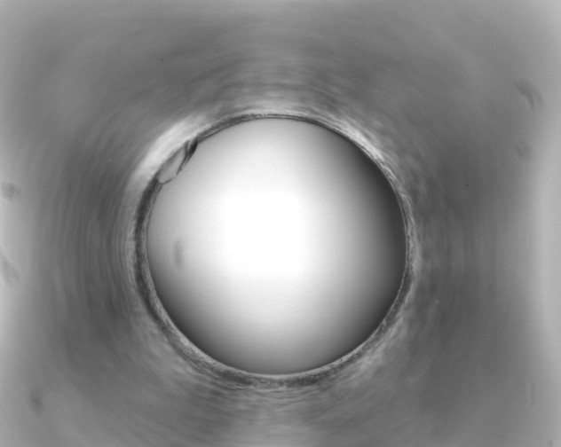 X0000091350199200708101043