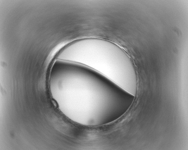 X0000091350200200708101043